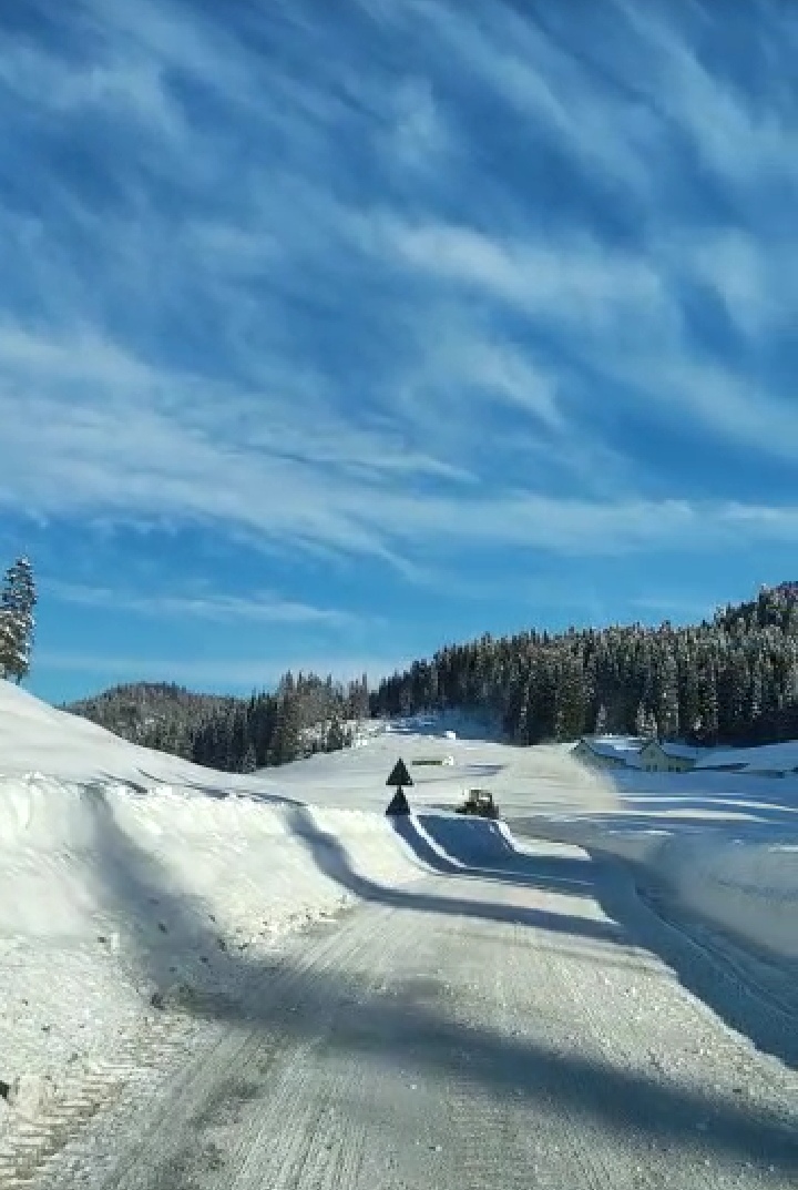 asiago