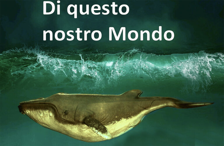 Giornata Nazionale della Cura, a Sovizzo un reading teatrale per sensibilizzare