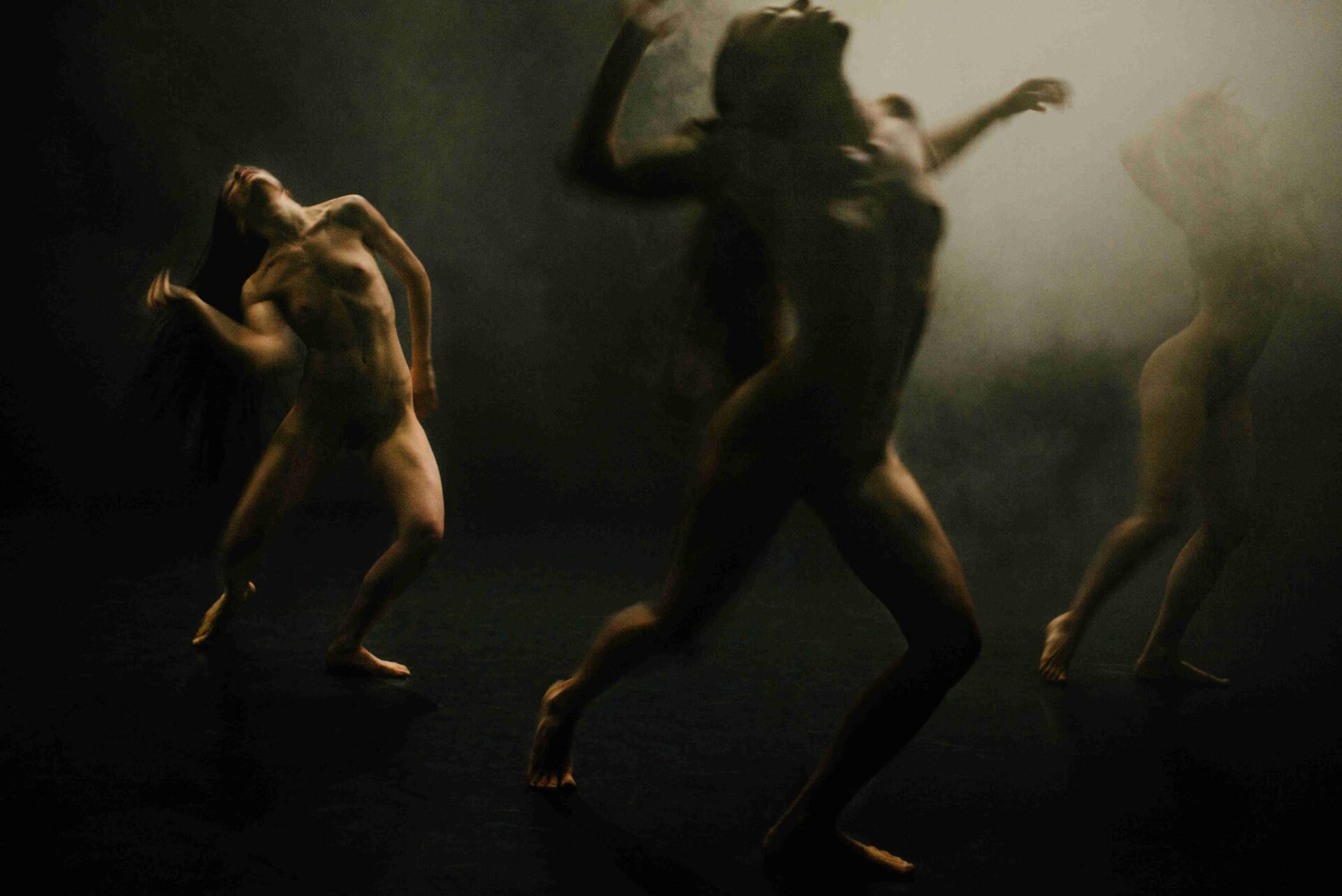 Danza in Rete Festival