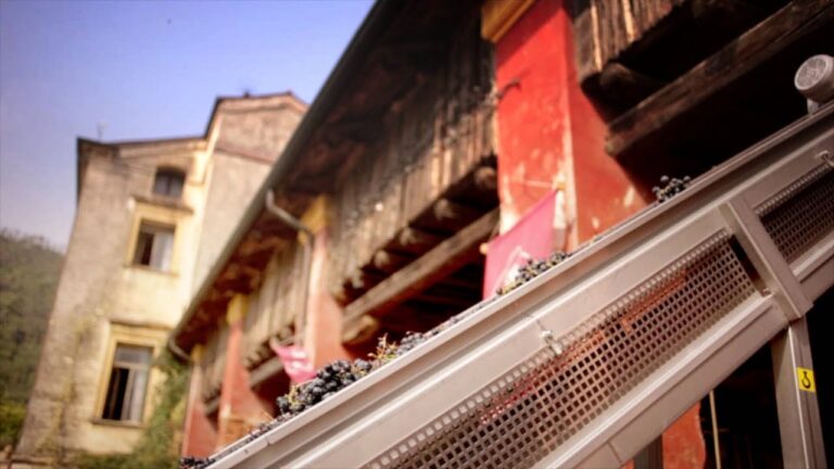 Cantina Piovene Porto Godi: è il lato… nobile dei vini Berici