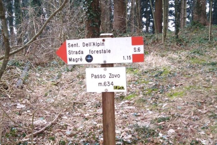 passo zovo