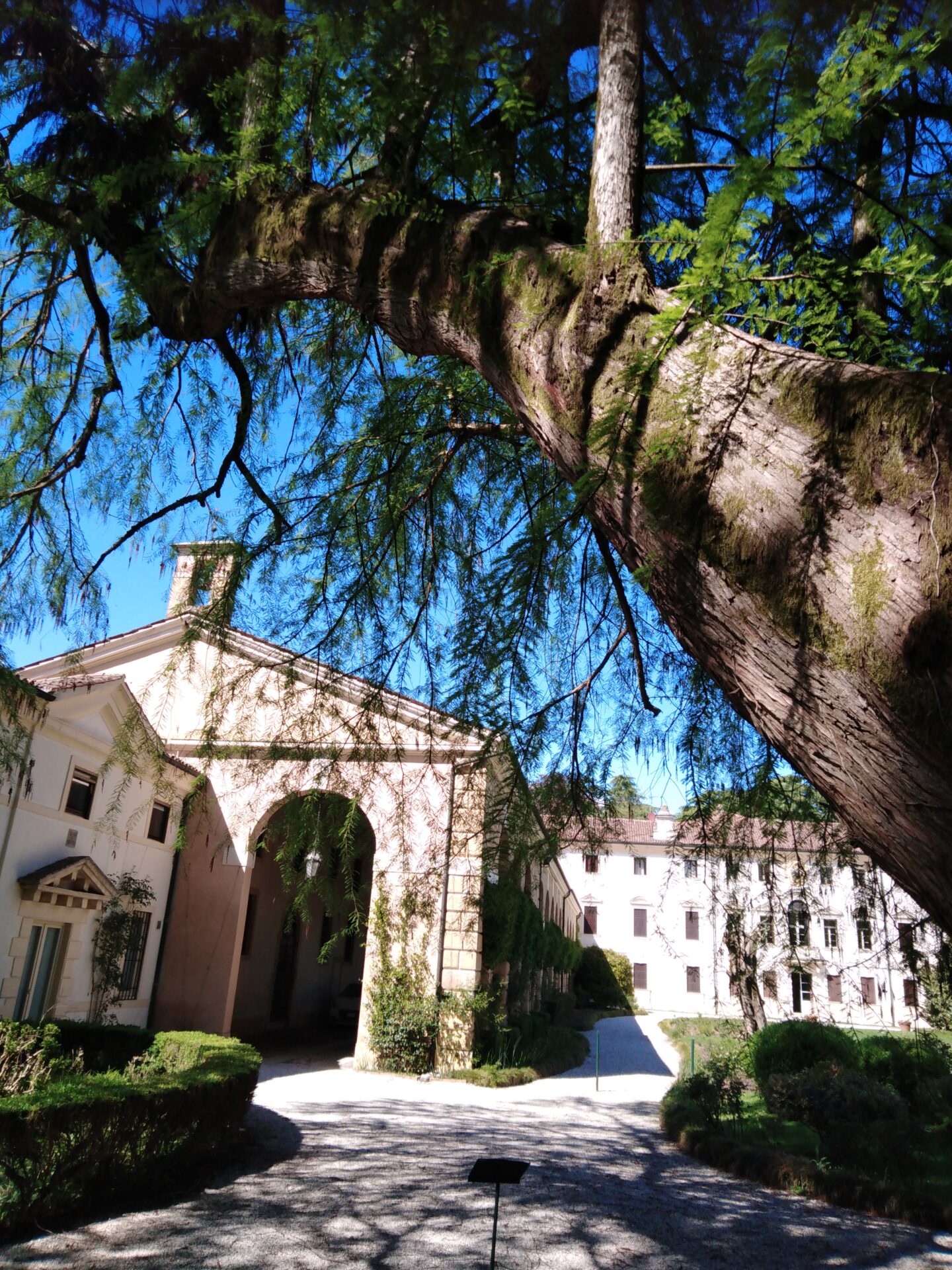 villa zileri