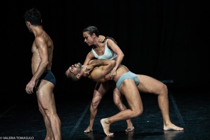 Danza in Rete