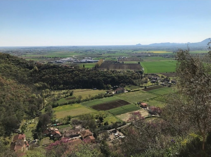 panorama