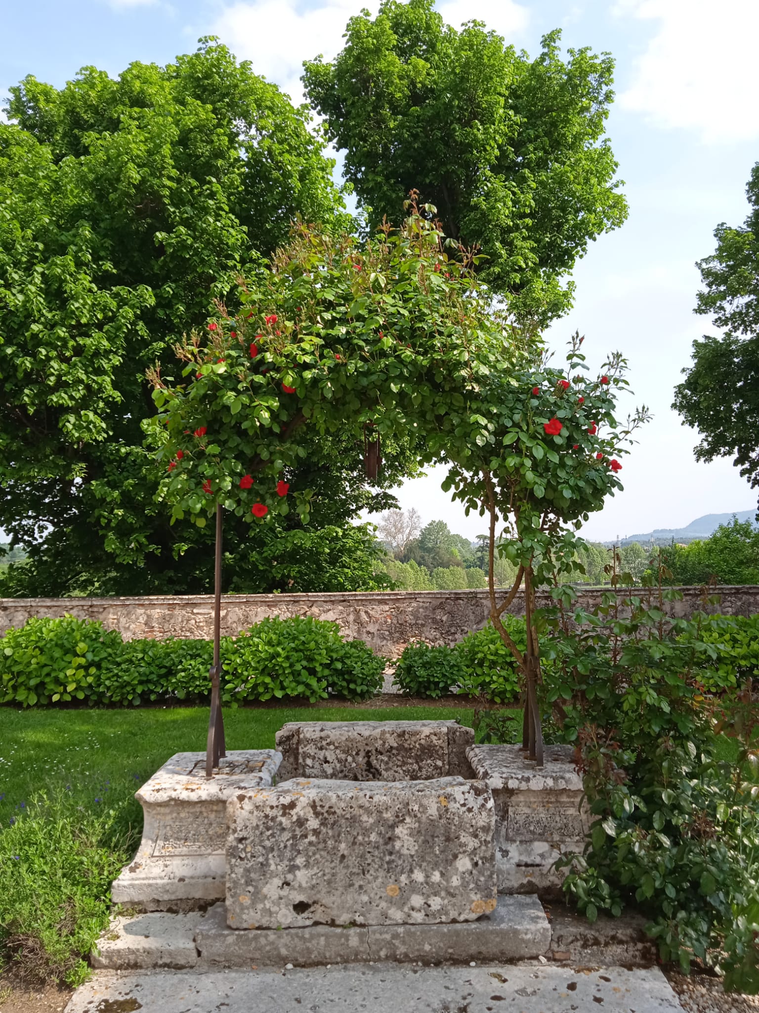 giardino