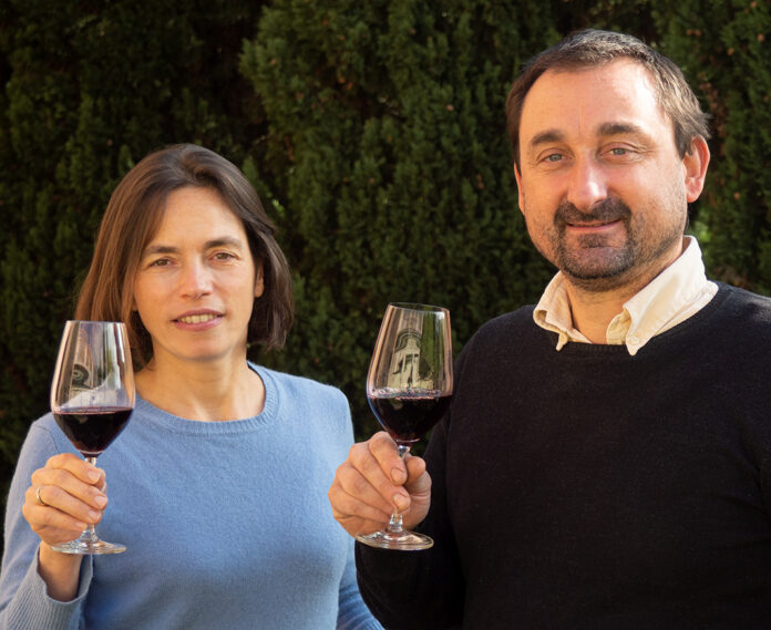 cantina masari