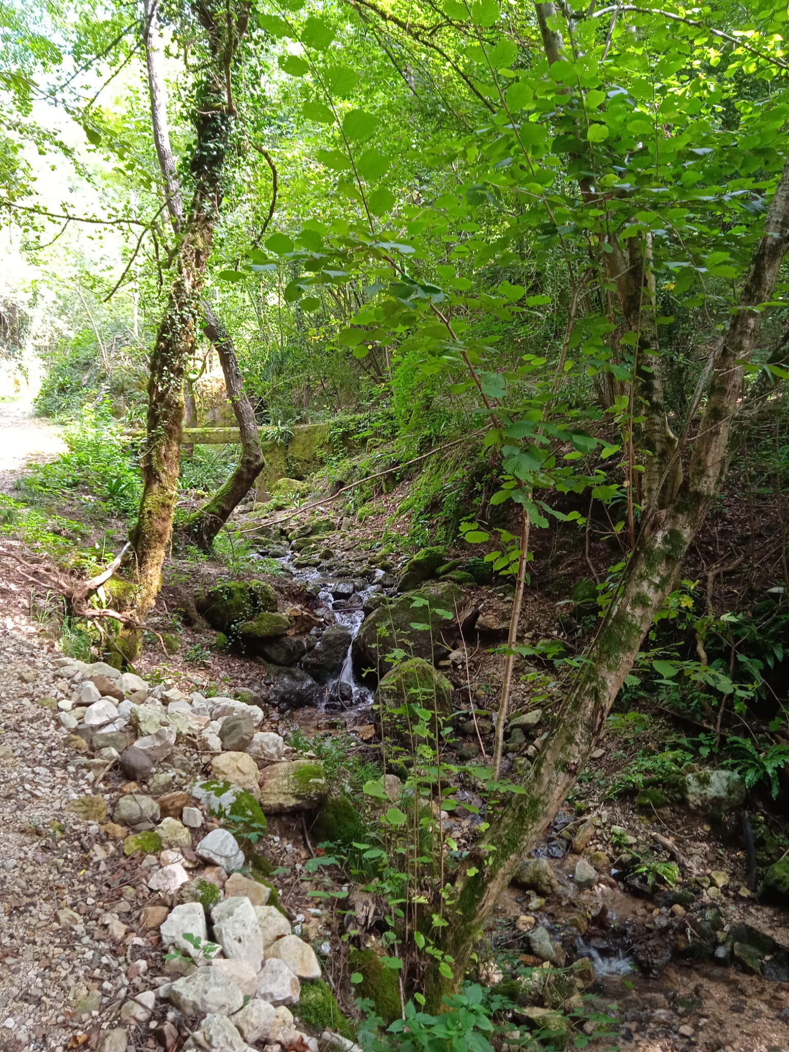 ruscello