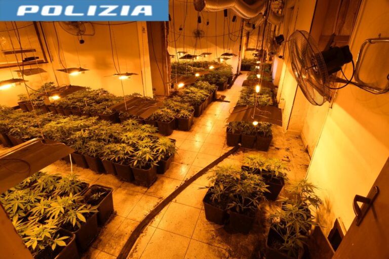 Alessandria, sequestrate 1300 piantine di cannabis in albergo in disuso