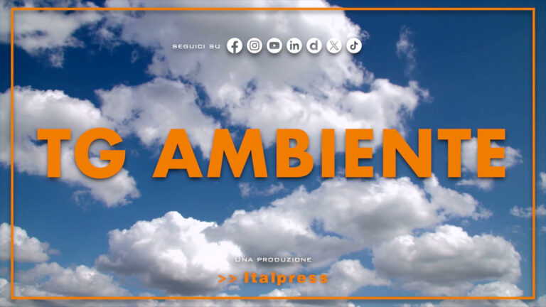 Tg Ambiente – 11/1/2026