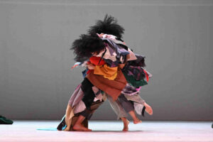 habitus danza in rete