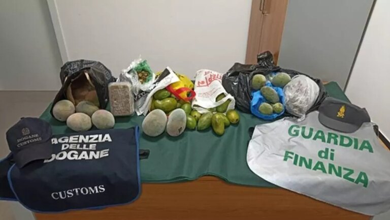 All’Aeroporto di Alghero sequestrati 154kg di alimentari in tre mesi