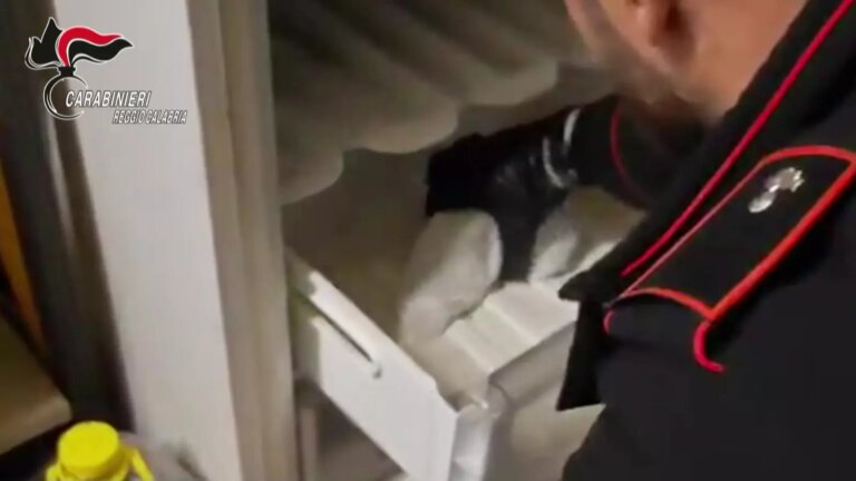 Nascondeva pistola e munizioni nel freezer, arrestato 55enne in provincia di Reggio Calabria