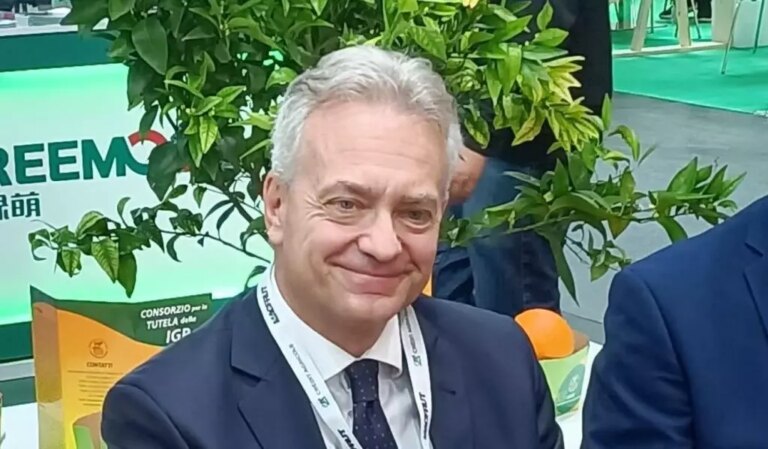 Campagna vitivinicola in Calabria, avviso per gli investimenti in ambito OCM Vino