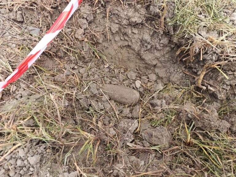 Rinvenuta nel Campus Universitario di Catanzaro una bomba tedesca della seconda guerra mondiale