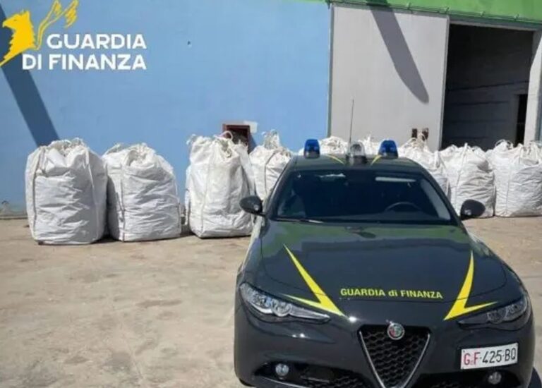 Sequestrate nel sassarese 3,7 tonnellate di cannabis