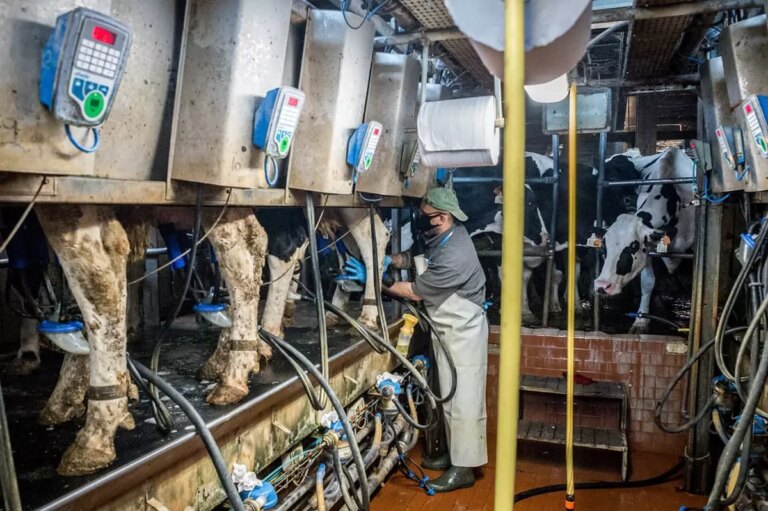 Giornata Mondiale del Latte, Confagricoltura “Pilastro dell’agroalimentare italiano”