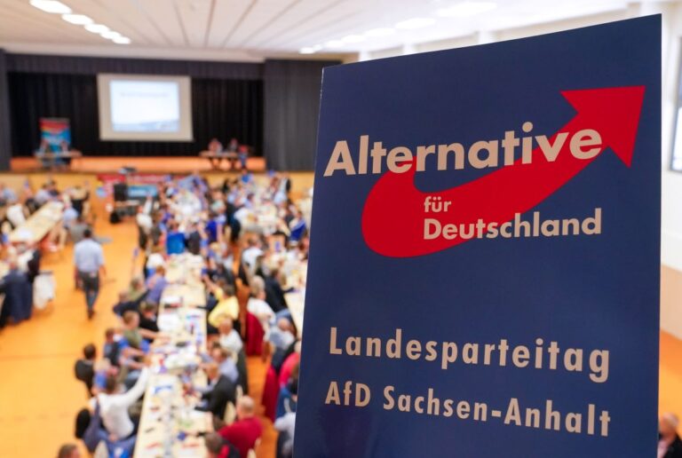 L’intelligence tedesca decreta l’AFD di ‘estrema destra’, le reazioni di Salvini e Borchia