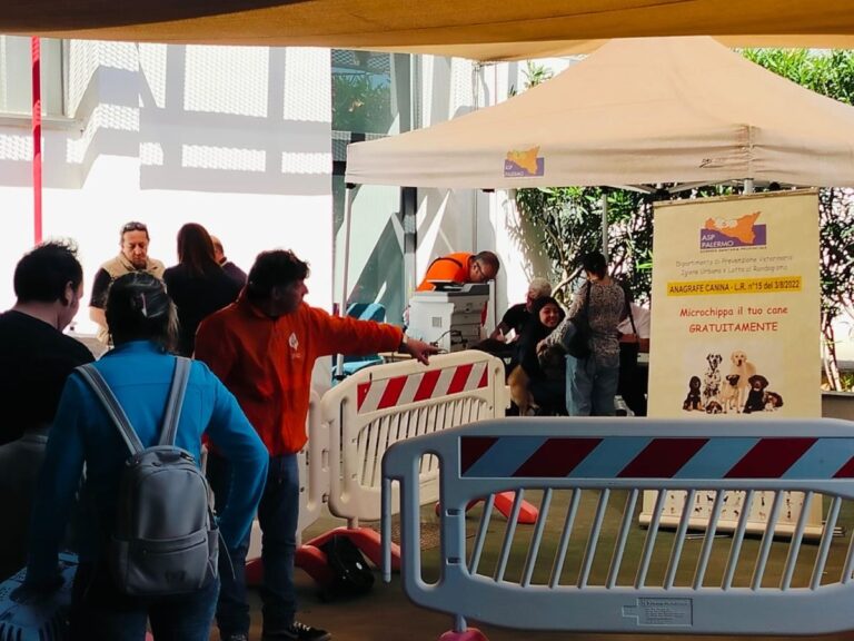 A Palermo microchippatura gratuita per cani e gatti, l’appuntamento al Centro Guadagna