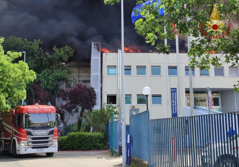 Viterbo, incendio alla facoltà di Agraria dell’Università della Tuscia: evacuati studenti e docenti