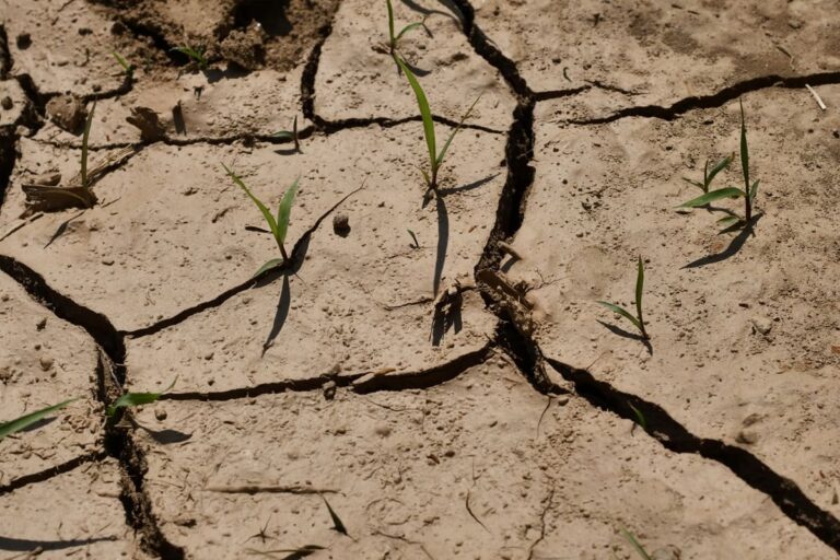 Emergenza idrica in Sicilia, piano Webuild da 900 milioni