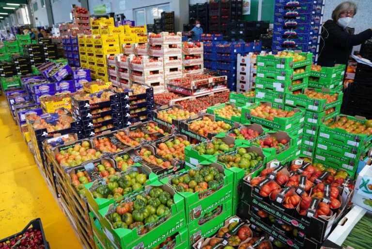 Agroalimentare, nel primo trimestre cresce la performance economica: +0,7% rispetto al 2024