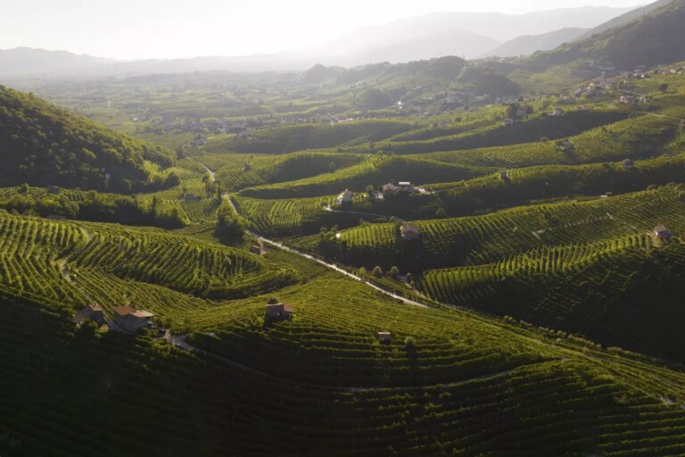 Veneto, crescono i dati turistici dell’area delle Colline del Prosecco: da gennaio a maggio +2,7%