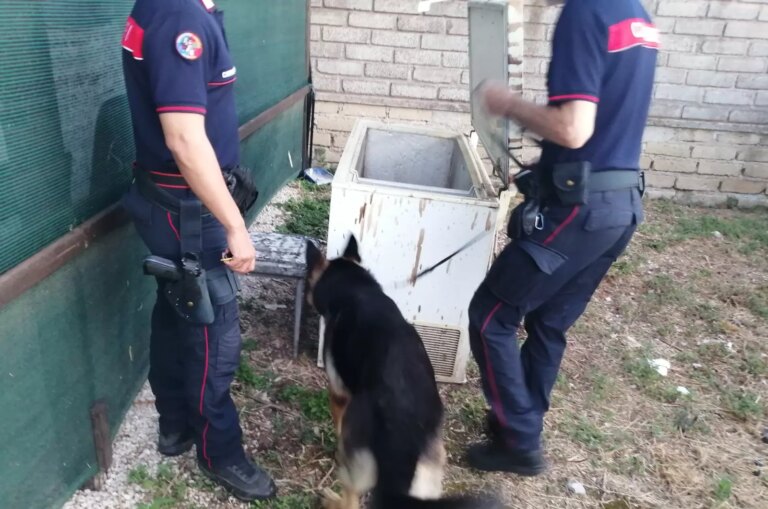 A Velletri 14 arresti per spaccio di droga nel centro storico