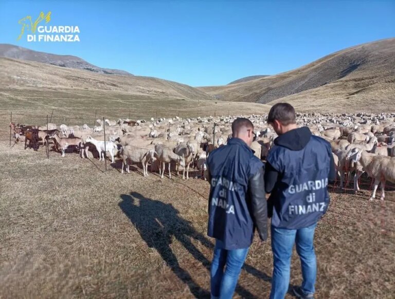 Scoperta frode ai danni dell’Ue a Padova, denunciati 48 imprenditori agricoli