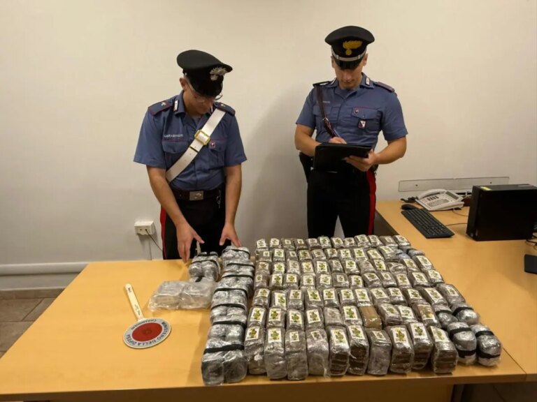 Operazione “Termine”, blitz dei Carabinieri nel Nuorese: scoperti 51 chili di hashish