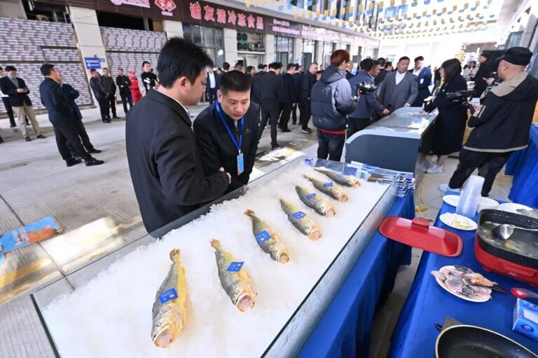 Cina: Ningde punta sull’industria della ricciola gialla (1)
