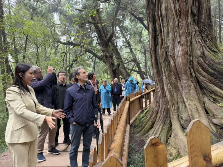 Cina-Italia: Strada per Shu e Via Appia, dialogo tra civiltà attraverso montagne e mari