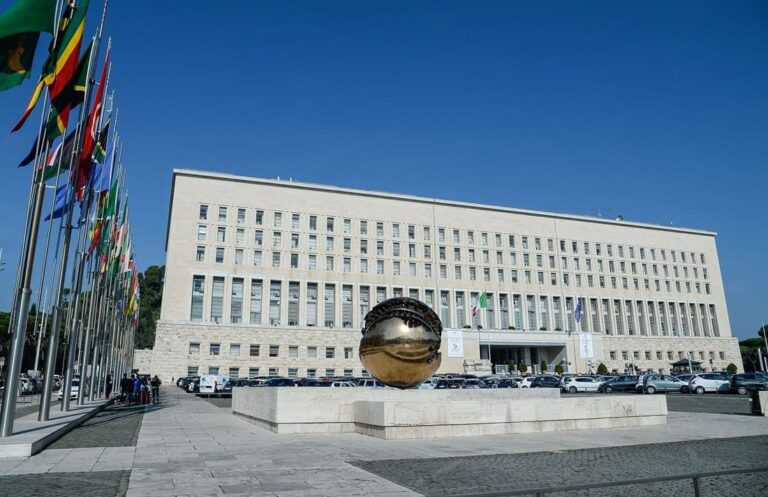 Farnesina, Italia rieletta nella Categoria A del Consiglio dell’Organizzazione Marittima Internazionale