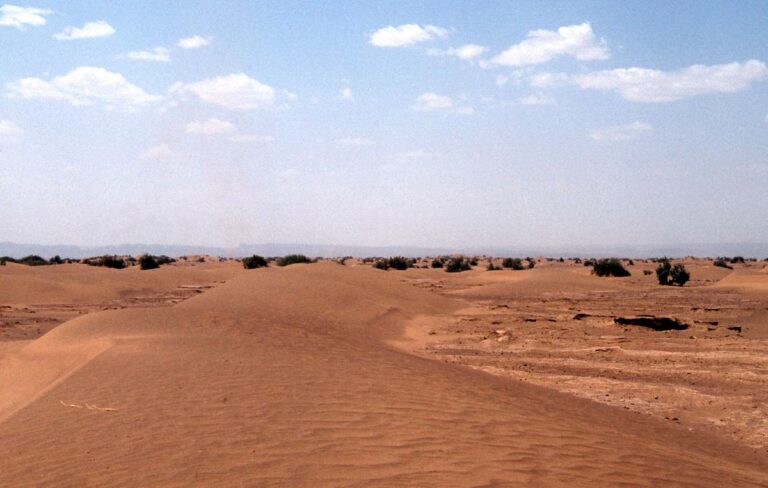 Il Consiglio di Sicurezza dell’Onu riconosce la sovranità del Marocco sul Sahara
