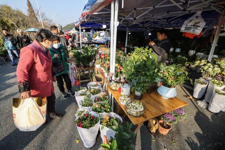 Cina: le immagini della fiera contadina in corso a Jiande (2)