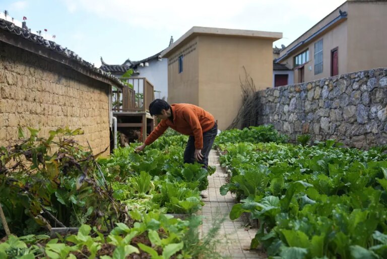 Cina: il villaggio di Manhai rinasce con turismo e tradizioni etniche (2)