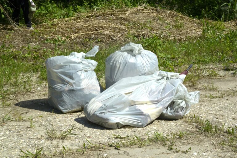 Plastic free, nel 2025 raccolti in Veneto 95.000 kg di rifiuti