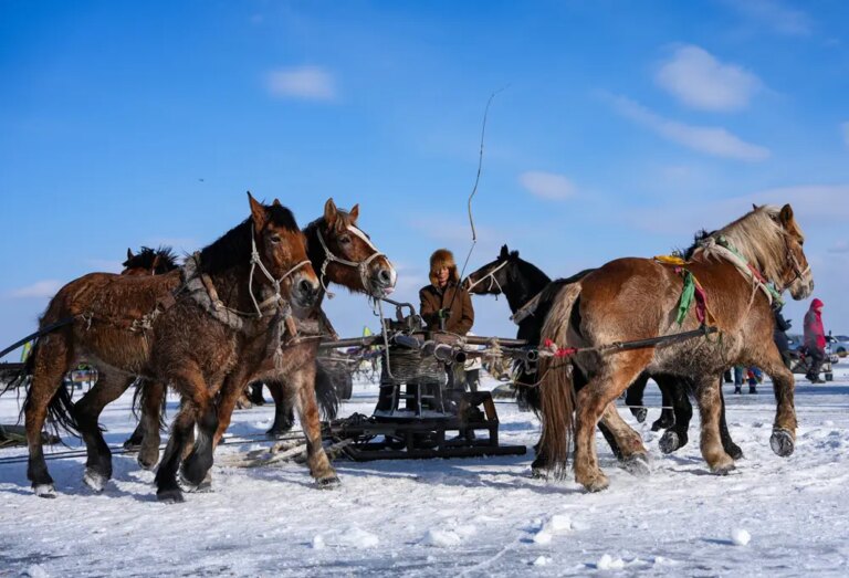 Cina: al via il Festival della pesca sul ghiaccio e neve a Songyuan (1)