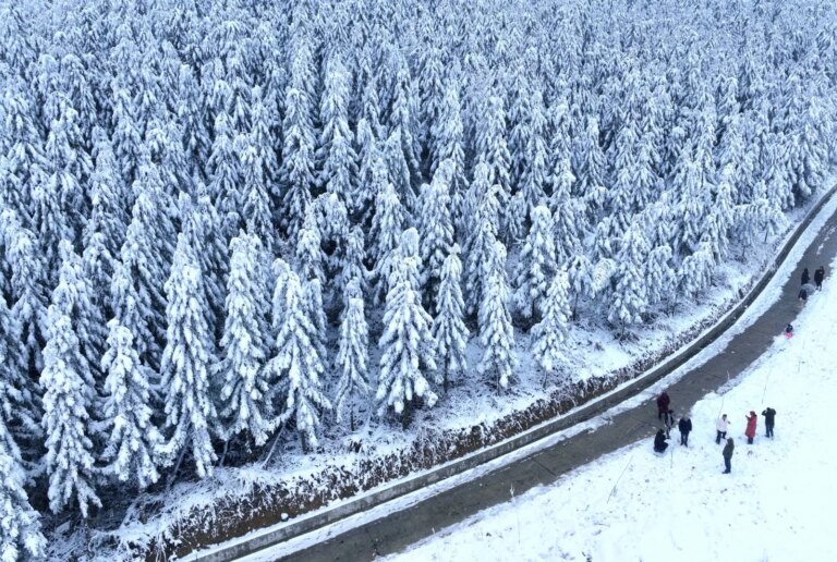 Cina: nevicate attirano turisti durante vacanze di Capodanno (1)