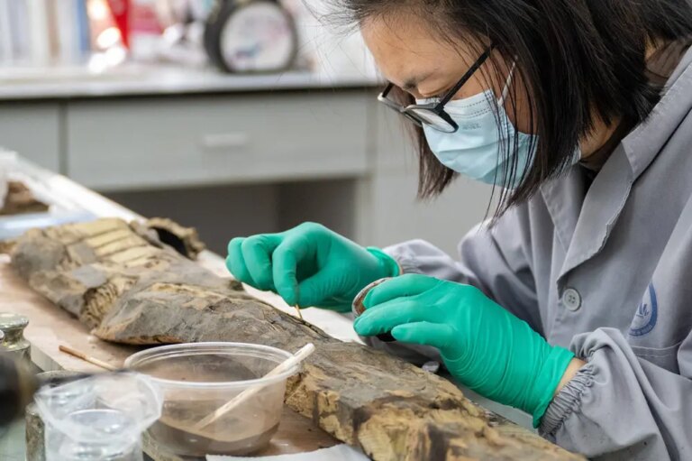 Cina: Jingzhou punta su ricerca e restauro dei reperti storici (3)