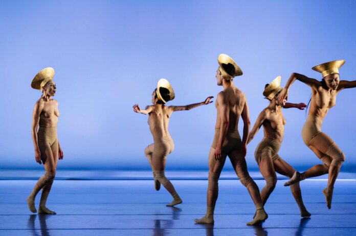Danza in Rete Festival