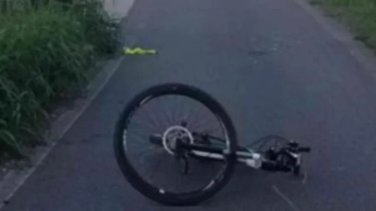 Ciclista a terra, si cerca un “pirata della strada”: dalle telecamere spunta un cinghiale