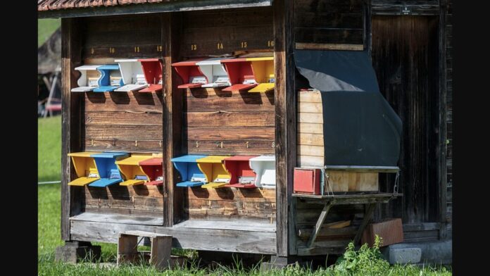 Apiarium Dolomiti, arnie in un apiario di montagna
