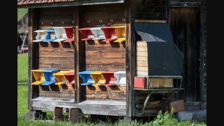 Apiarium Dolomiti, a Pedavena un percorso tra api, arte e natura