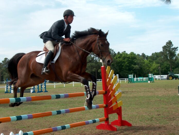 Cavallo e cavaliere nel salto ostacoli, disciplina dei Global Champions Playoffs — foto di repertorio