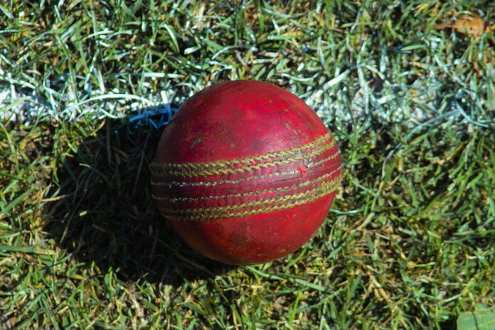 Palla rossa da cricket sul prato, immagine di repertorio