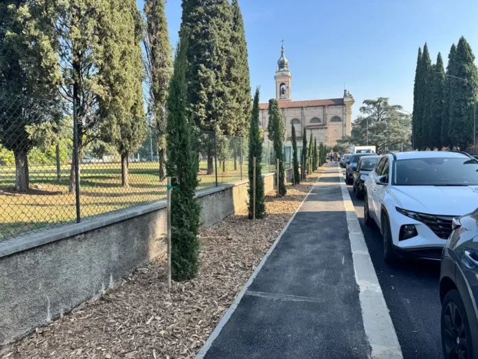 Il marciapiede rinnovato e i cipressi in via Santa Elisabetta a Santa Lucia
