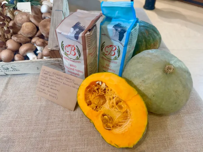 Zucca, riso e funghi presentati per il Ristorante Tipico d’Autunno a Verona